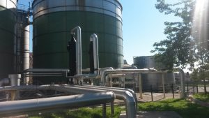 Hamburger Hungaria Ltd. (2013 - 2014)