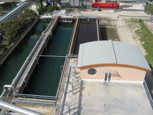 Hungrana Kft. (2003 - 2004)