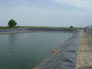 Kecskeméti Konzervgyár Rt. (2003)