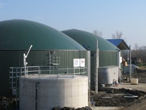 Kőrös-Maros Biofarm Kft., Gyula (2010 - 2011)