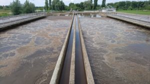 Siker immár a lengyel piacon is