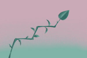 Náluk csak akkor van értelme egy befektetésnek, ha attól jobb lesz a világ